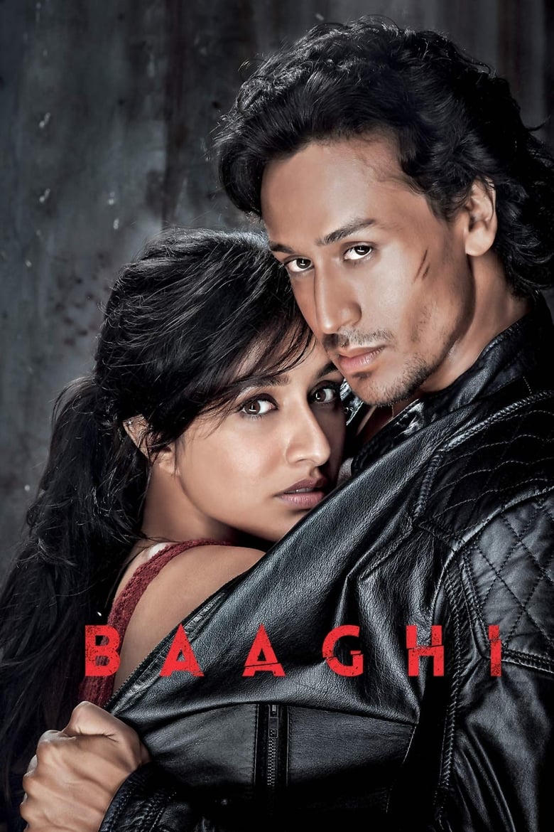 Baaghi (2016) Hindi HD Netflix WEB-DL