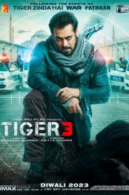 Tiger 3 (2023) Hindi HD AMZN 4K-UHD WEB-DL