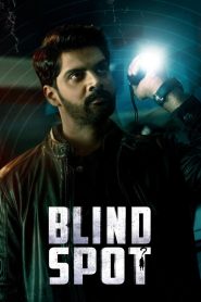 Blind Spot (2025) [Hindi-Telugu] AMZN WEB-DL
